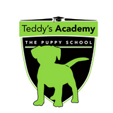 Teddy's Academy – The Puppy School Logo