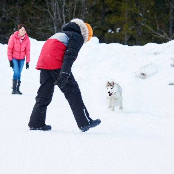 In vacanza sulla neve con il cane