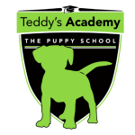 Logo Teddy's senza sfondo